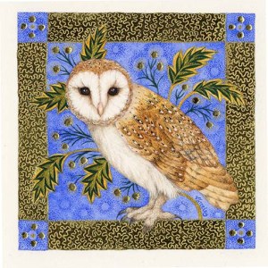 VG1008 TFHRA Golden Silence barn owl