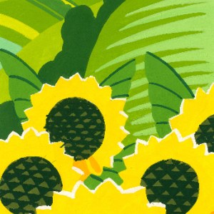 AR BRS0006sunflower Y2 smallfile Y