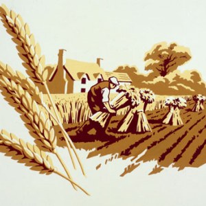 AR BRS0020Harvest Y