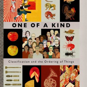 AR AE NLP One of a Kind, cover