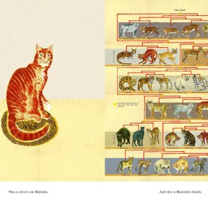 AR AE NLP0003 Cats 72