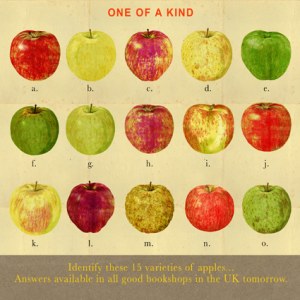 AR AE NLP0151 a apples