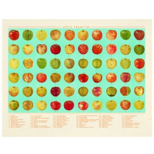 AR AE NLP0151 applevariety