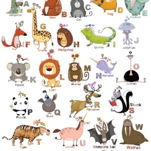 AR ALB0019 AB ALPHABET