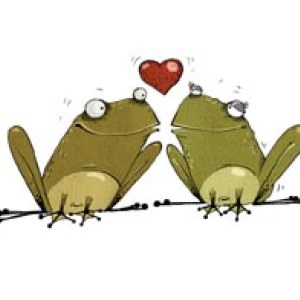 AR ALB0002FROGS