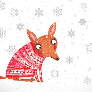 AR ATS0226bellaandthesnowflakes PLPCEXFIN