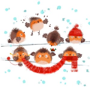 AR ACH0112 Robins