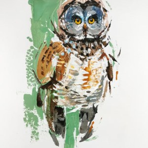 AR ACH0162 OWL