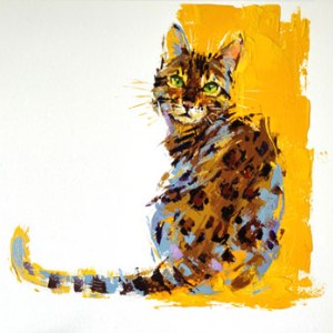 AR ACH0195 tabby PLGX