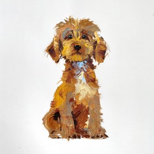 AR ACH0202 cockapoo pup