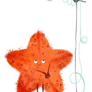 AR ACH0097 Star 3a