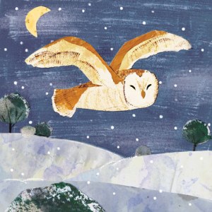AR EMX0098 Owl 2