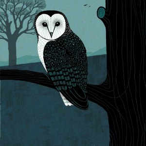 AR FCA0022barn owl Y