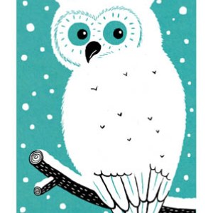 AR FCA0034Owl smallfile PLGX Y