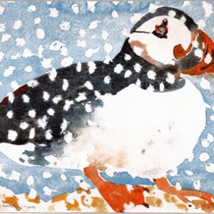 WIN0300 Winter PuffinPLGWWEXBX