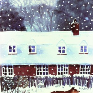 WIN0324 Snowy Fox