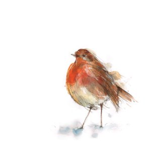 LMK0055robinwatercolour A PLsimilar Y