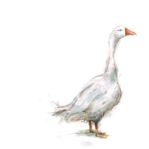 LMK0056goosewatercolour A PLsimilar Y
