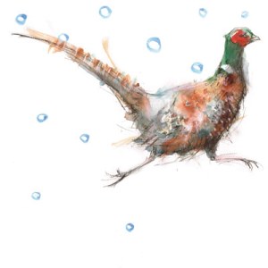 LMK0057pheasantwatercolour B PLGX PLPRsimilar Y