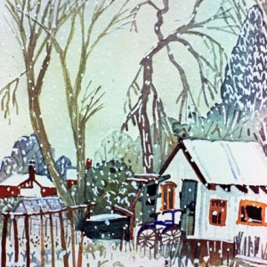 WIN0348 Snowy allotment