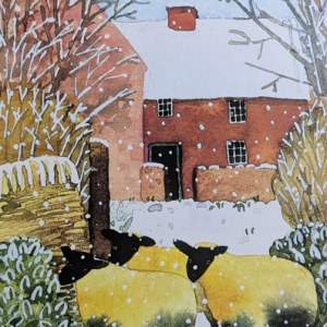 WIN0363 SNOWYSHEEP