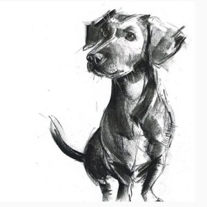 Laura McKendry LMK0465 Dacshund