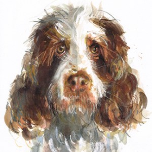 LAURA MCKENDRY LMK0479daisydog