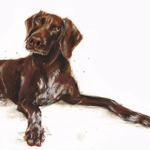 LMK0331rubydogTFHRA Y