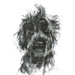 LMK0430windsweptcockapoo PRUKSIEUNEX.