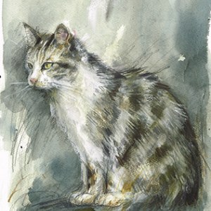 LAURA MCKENDRY LMK0478sophiecat