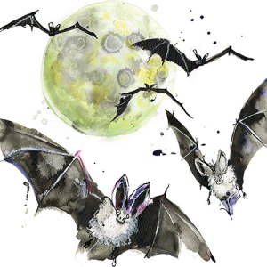 LMK0283halloweenbatsTFHRA Y