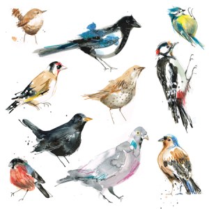 LMK0167 A gardenbirds PLPDPRownwallart PLGWW Y