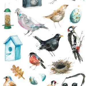 LMK0167 B gardenbirdsandkiT Y