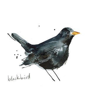 LMK0168blackbirdPLPRXcomposite PLownwallart Y