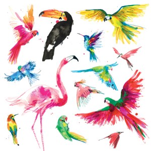 LMK0213 B tropicalbirdscompositesaturatedPLPRWW Y