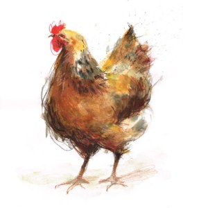 LMK0073chickenbrownPLMUGUK PLPRXcomposite