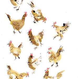 LMK0387characterchickensTFHRA