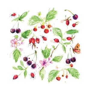 LMK0350 A cherriesstrawberriesTFHRA Y