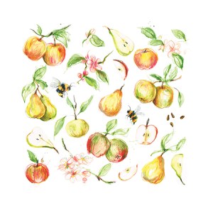 LMK0351 A applespearsTFHRA Y