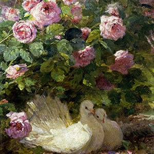 FP FP3396 brighter Y