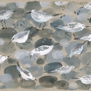 SCD0005 birds and pebbles original painting 2013  PLG