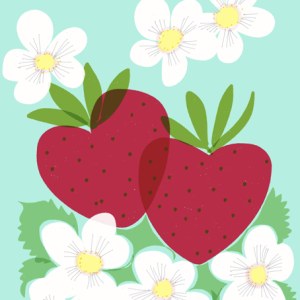 SCD0613 STRAWBERRIES