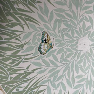 Sarah Campbell SCD0566 Liberty butterfly crop