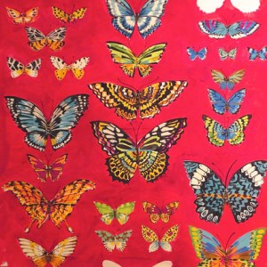 SCD0104 butterflies on red