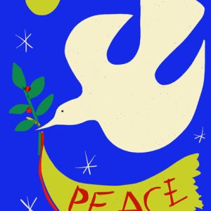 SCD0497 PeaceDove