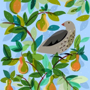 SCD0503 Partridge PearTree