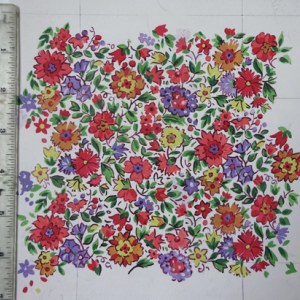 SCD0631 PARTERRE