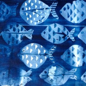 SCD0122 bluefish