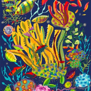 SCD0419 coral reef 1, ipad