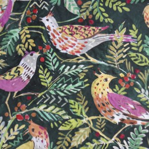 SCD0022 leafy birds
